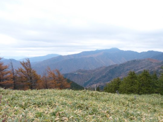 神坂山
